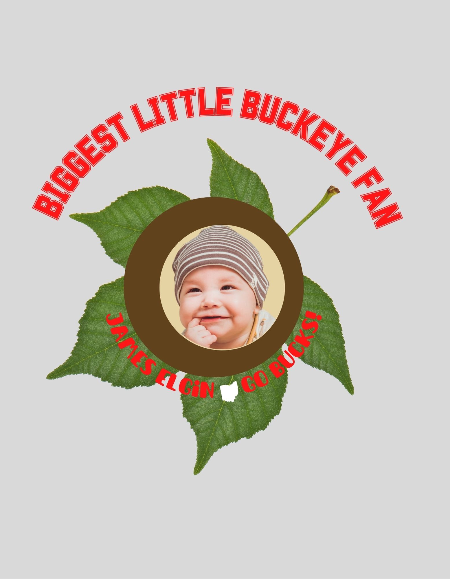 Ohio State Baby Buckeye Photo onesie