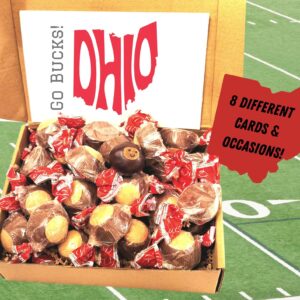 2 dozen buckeyes ohio state gift free shipping