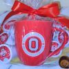 5 Ohio State Buckeye mug gift basket